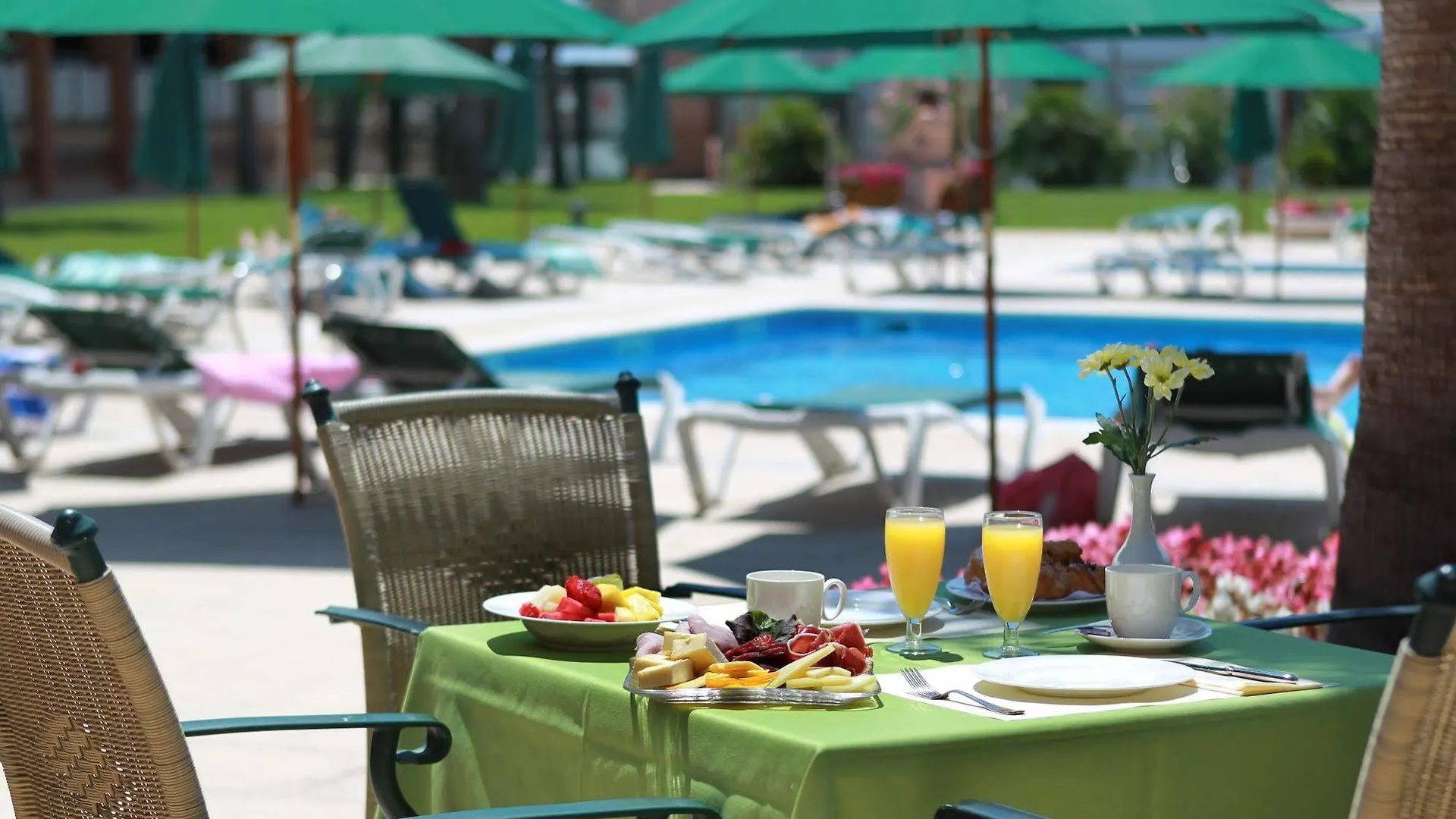 Hotel Clipper - El Delfin Verde Resorts - Platja De Pals Torroella De Montgri