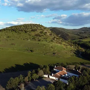 https://la-gineta.es-andalucia.com